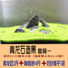 水草种子鱼缸造景套餐小对叶种子青龙石草缸牛毛草水草种子 青龙石套餐一