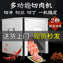 甄樽（ZHENZUN）切肉机商用不锈钢切片机猪肉切丝切丁切肉片家用全自动电动切菜机多功能绞肉机  双切口款   【不锈钢刀片】