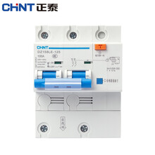 正泰（CHNT）DZ158LE-125 正泰空气开关 断路器 家用空开 漏电断路器 总电闸短路保护器 2P 100A 30mA
