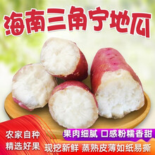 （精选农品）海南澄迈地瓜 沙地紫皮富硒三角宁地瓜 板栗番薯 3斤 精品果（单果2-5两）
