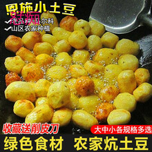 恩施富硒小土豆湖北三峡特产高山新鲜黄心迷你洋芋马铃薯农家蔬菜 3斤现挖 精选装【硬币大小】优先发货