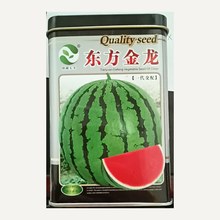 民汇园水果籽麒麟瓜种子中华宝冠 冰糖玉麒麟F1 正宗8424西瓜种子佳美战雷早熟西瓜籽大果可达30斤 东方金龙50克/罐
