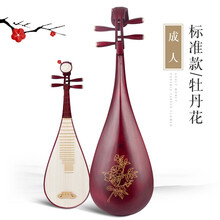 美音天使红木琵琶乐器初学入门成人儿童弹拔琵琶演奏民族乐器琵琶配件考级 成人标准牡丹/喜鹊【送教程+全套赠品+10年保修】
