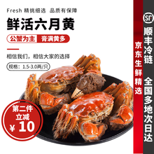 大闸蟹8-16只六月黄【鲜活-顺丰】礼盒装生鲜螃蟹探长活体实物河湖蟹清水大闸蟹 【只只带黄】8只装(2.0-2.5两)