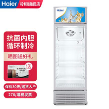 Haier海尔冰柜家用立式商用风冷展示柜冷藏保鲜啤酒冷饮柜单门玻璃门冷柜 SC-298  276升