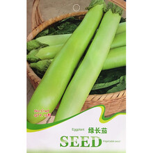 禾花楹蔬菜种子 绿长茄种子 绿色茄子种孑长茄子种籽日本早长茄种子 黑色长茄种籽紫黑长茄瓜果菜种子菜籽 绿长茄种子 15粒/包