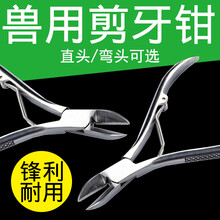 不锈钢剪牙钳猪用器械兔仔猪剪齿钳断牙钳猪场养猪设备器械 不锈钢12.5CM直头1个