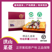 【原产地洪山菜苔】特级鲜薹武汉洪山特产紫菘特级菜薹礼盒1000克 正宗洪山菜苔1000克特级