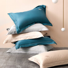 雪仑尔 枕套家纺 60支全棉枕头套 纯棉贡缎枕套一对装 2条 浅驼色 74*48cm