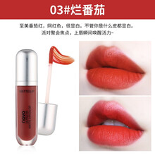 novo唇釉丝绒雾面哑光平价小众口红唇釉女不易掉色防水学生款 03#烂番茄显白色