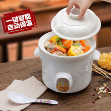 龙兴发全自动家用电炖锅紫砂熬煮粥锅煲粥煨汤锅养生煲汤锅陶瓷电砂锅隔水炖盅迷你电炖盅炖汤盅低功率精炖 白瓷陶瓷盖智能自动款 6L 适合6-8人