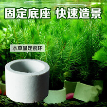 水草固定环 水草植物固定底座沉重沉底陶瓷杯重力环水草快速造景装饰 10个
