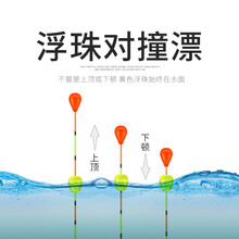 小凤仙新升级BW浮珠对撞鱼漂加粗醒目粗尾高灵敏防风近视纳米轻口鲫鱼漂浮漂 BW01浅水鱼群-7目吃铅约1.40-2.00g 1号一支PVC管装 新品专利浮漂2颗醒目豆