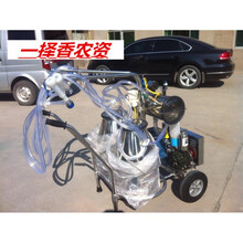 家用电动真空脉动脉冲奶牛挤奶机奶羊挤奶器吸奶机器牛羊用挤奶机 不锈钢高配双桶羊用