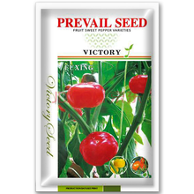 凤鸣雅世  彩椒种子甜椒菜椒青椒辣椒种籽方形灯笼椒四季阳台盆栽籽种孑蔬菜种子红椒黄高产甜椒籽蔬菜种籽 水果彩椒种子福星彩椒种子100粒