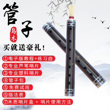 派尼美特 2020新款乌木管子D C A 大G 大F 各调 管子乐器 小F调【塑料+芦苇】
