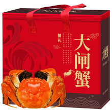 【活蟹】蟹友汇 六月黄大闸蟹鲜活螃蟹现货 1.8-2.1两 10只装