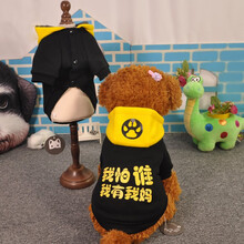 钟礼 宠物狗狗衣服带字猫咪衣服泰迪小狗幼犬猫咪衣服秋冬季宠物服装比熊雪纳瑞小型犬衣服 黑色XL