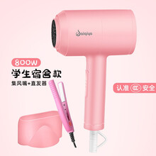 电吹风机家用理发店大小功率负离子宿舍用学生不伤发电吹风 少女粉+直发器 800W