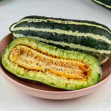 寿禾 各种甜瓜种子大全羊角蜜冰糖子美洋博洋幼苗香瓜羊角脆哈密瓜家庭种植阳台盆栽庭院水果种籽种孑秧苗 美洋甜瓜种子 10粒