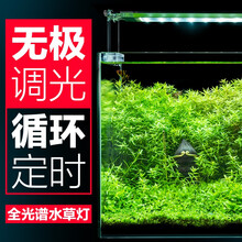 疯狂石头照明设备 京东