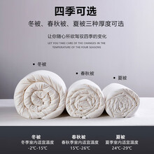 清茉家纺 大豆纤维被子冬被3斤4斤5斤春秋被可机洗薄被子棉被子母被二合一被芯春被 超柔亲肤大豆被 200x230cm 春秋被 4.5斤