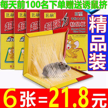 巨融老鼠贴超强力粘鼠板灭鼠神器捕鼠魔毯颗粒老鼠胶家用药捕鼠器粘鼠板老鼠胶强力家用老鼠克星贴笼灭鼠 6张装【超强力粘鼠板】