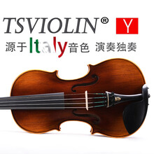 台氏（Tsviolin）进口欧料20年自然风干成人小提琴独板整板纯手工演奏独奏级天然虎纹 经典珍藏4/4成人尺寸