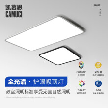 凯都灯饰（HIDOO lighting）全光谱儿童护眼吸顶灯高显指防蓝光薄灯具现代简约卧室灯 黑色 40*40cm 30瓦 米家智能