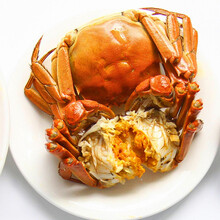 【活蟹】巨蟹汇螃蟹鲜活大闸蟹现货水产礼盒 六月黄 不分公母 2.3-2.6两 10只