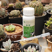 国光必治介必治蚧壳虫介壳虫根粉介盾介专用园艺药剂多肉兰花盆栽花卉植物杀虫剂 1整瓶必治送吸管