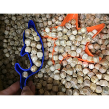 儿童玩的沙子颗粒游乐场小木粒扁柏木颗粒沙池木头荷柏木粒儿童沙池木块实木园决民子 10毫米松木1斤 约900粒有味道