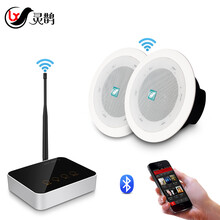 灵鹊G1+MT101F（全频喇叭） 一拖二 无线吸顶喇叭音响套装 吊顶公共广播背景音乐无线蓝牙功放发射器音箱组合