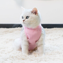 玉洋轩 猫咪绝育手术衣服狗狗母猫手术服断奶服生理服伊丽莎白圈升级猫藓皮肤病服猫咪绝育防舔服术后恢复服 粉色L（背长35-42胸围38-46，约11斤内）