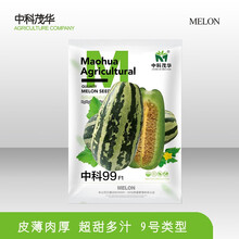 中科茂华瓜果种子中科90-99甜瓜种子花皮绿肉橘瓤薄皮9号类型干瓤超甜多汁酥脆爽口节节坐瓜大棚露地种 中科99甜瓜50粒/袋【试种装】