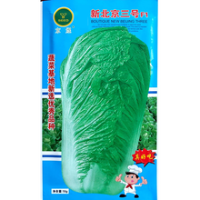 高产丰抗80白菜种子秋季新北京三号大白菜籽抗病农家大田蔬菜种子 新北京三号约10g2包