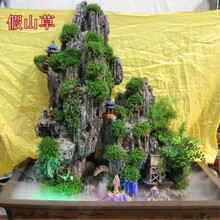 假山草种子山石草上水石小草盆景草吸水石专用草籽四季常绿小草 假山草500粒