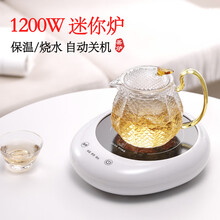 诺洁仕（LOCUS）煮茶炉子迷你电陶炉电磁炉家用小型电炉煮茶器光波多功能陶瓷炉电茶炉养生玻璃壶 智能版白色茶炉单机(不配壶)