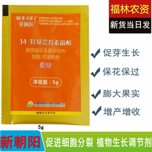 新朝阳 硕丰481金满粒花之果十四羟基芸苔素甾醇保花保果 促进生长促生根解药害双向调节剂叶面肥料 100袋优惠价 5克/袋