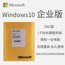 微软正版系统windows10/Win10专业版/企业版实物支持多国语言 无票 Win10家庭中文版实物+U盘