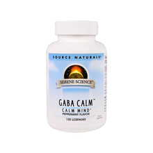 Source Naturals 伽玛氨基丁酸精神镇静片 优化睡眠缓解焦虑抑郁舒缓提升睡眠百忧解 薄荷味，120片