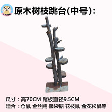 原生态木制松鼠龙猫刺猬蜜袋鼯仓鼠玩具实木椰壳树杈枝木屋跳台板 原木树枝跳台(中号)