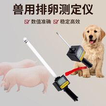 华畜 猪用测卵仪母猪排卵测定仪检测仪 狗用排卵测试仪 犬用羊用检测仪 猪羊用排卵检测仪