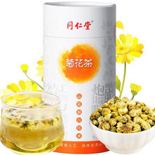 北京同仁堂与潇皖养生茶牛蒡菊花金银花枸杞决明子茶 菊花胎菊茶