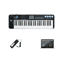 SAMSON山逊 MIDI键盘控制器Graphite 49/M25半配重Carbon 61合成器 Graphite 49+延音踏板+音源软件
