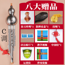 葫芦丝盒子成人 装葫芦丝的外壳保护盒套袋子包装袋c调学生 C调-闪亮银【三代升级-可拆吹嘴】八大