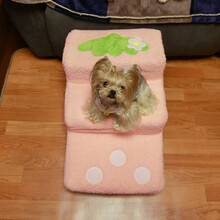 新品宠物楼梯台阶三层小型泰迪约克夏雪纳瑞可爱夏季可拆洗上床梯 粉色草莓 整套(布套+海绵)