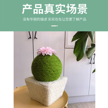 【DRE旗舰店】向日葵猫抓板 太阳花圆形猫抓板 剑麻向日葵猫抓台猫爬架 剑麻底仙人球