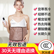 鸿誉 暖宫腰带 艾绒热敷暖胃护腰带痛经暖肚子发热神器电加热腰部腰围腰肌劳损 宫寒保暖暖宫宝 电加热艾绒+海盐款