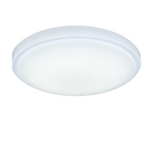 雷雷智光 LED吸顶灯圆形面包灯现代简约卧室过道客厅灯阳台厨卫灯饰灯具 40cm-led36W 白光